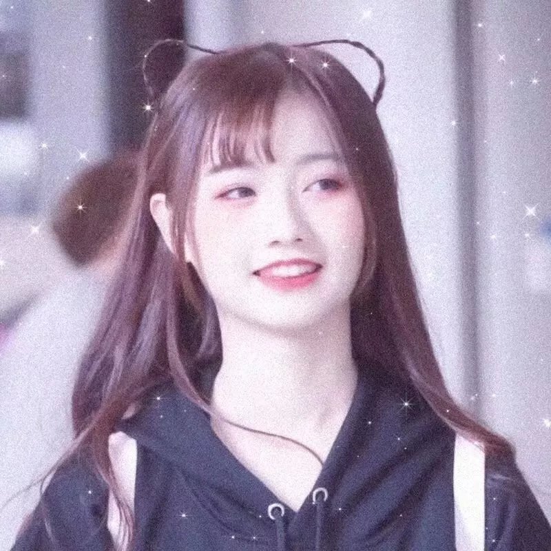 冰上鸭仔队再战江湖